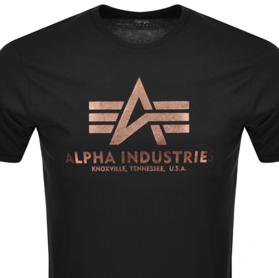 Alternative Image for ProductAlpha Industries Basic Logo T Shirt Black2